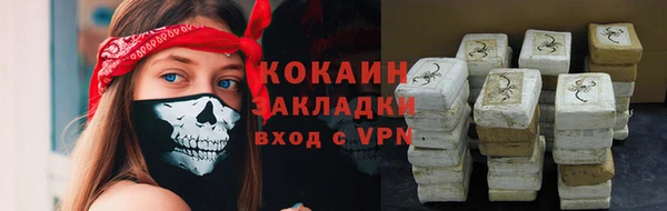 сатива Волоколамск