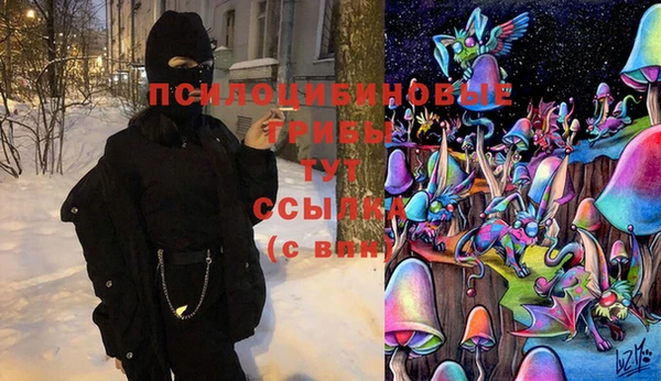 apvp Верея