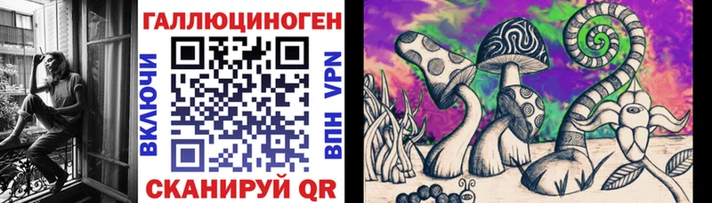 где можно купить наркотик  Зея  Галлюциногенные грибы мухоморы 